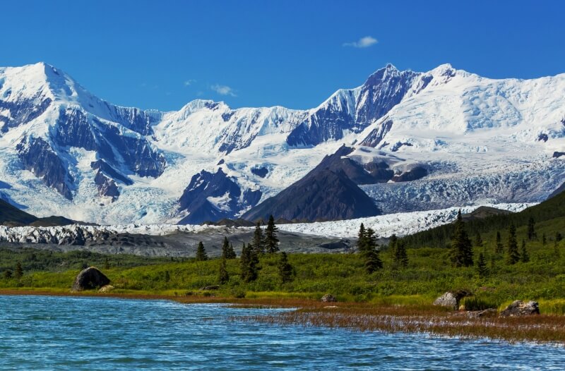 Selvaggia Alaska